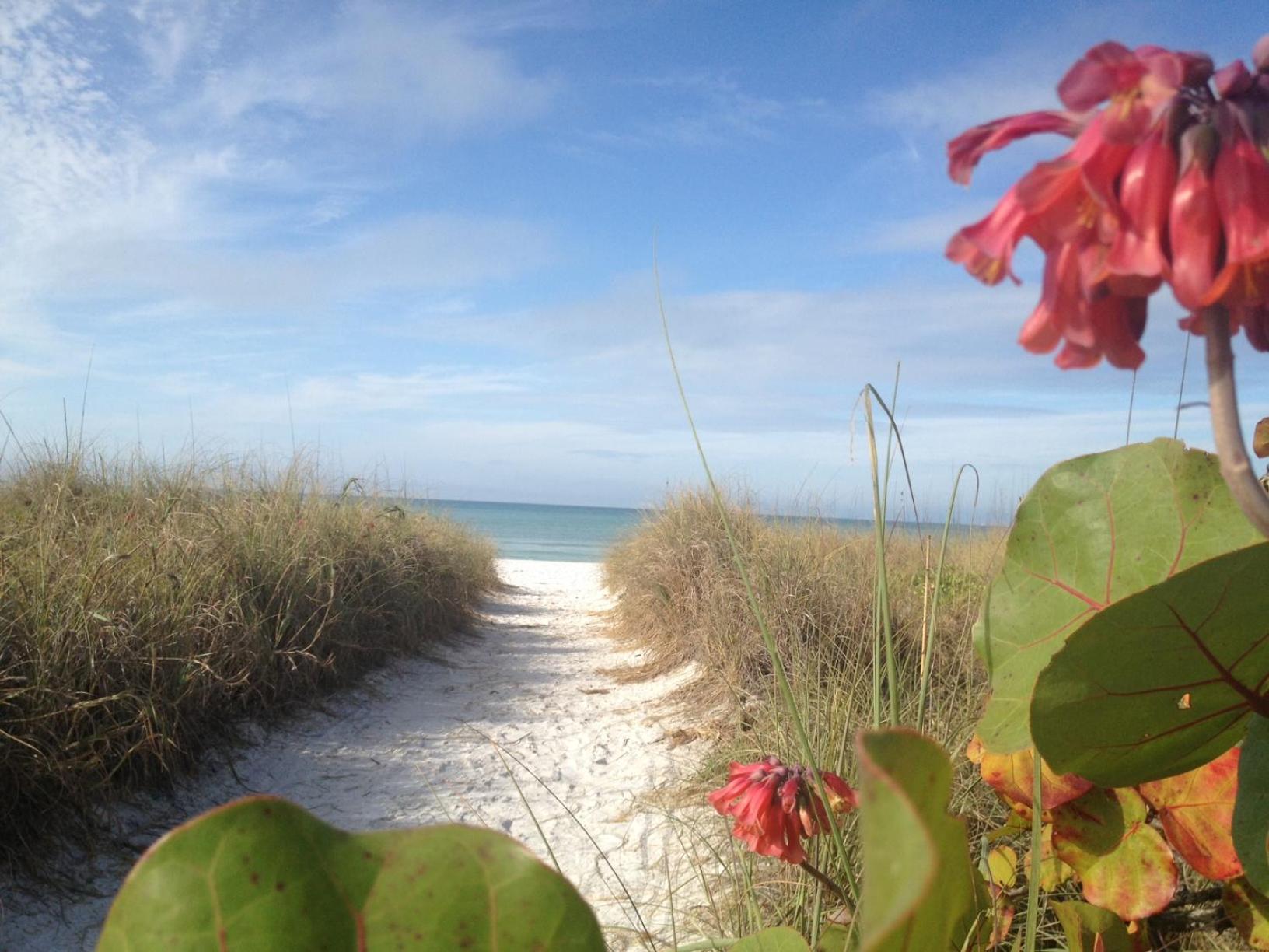 Siesta Key Inn Buitenkant foto